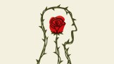 An illustration of a man’s silhouette formed by branches and thorns, with a red rose at the center of the image.